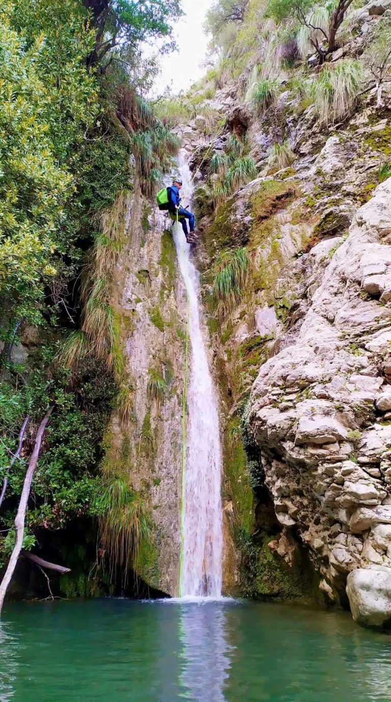 Torrent Cal Reis_3