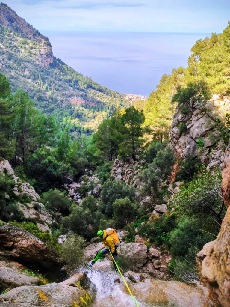 Torrent des Lli